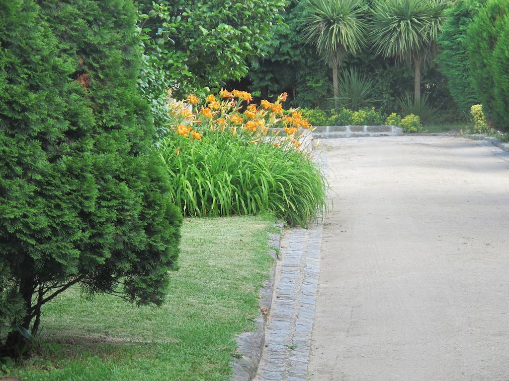 No Meio Da Natureza - Turismo No Espaco Rural Vila Nova de Famalicão Exterior foto